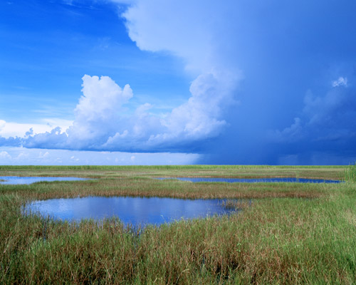 Fakahatchee Storm